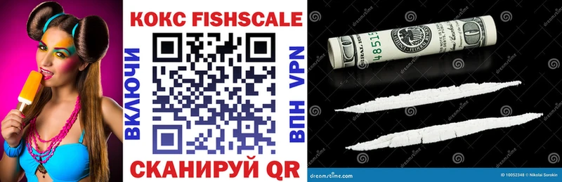 COCAIN Fish Scale где можно купить Николаевск