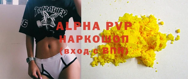 индика Аркадак