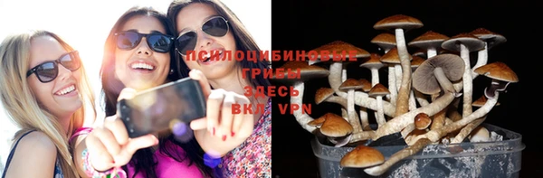дмт Армянск