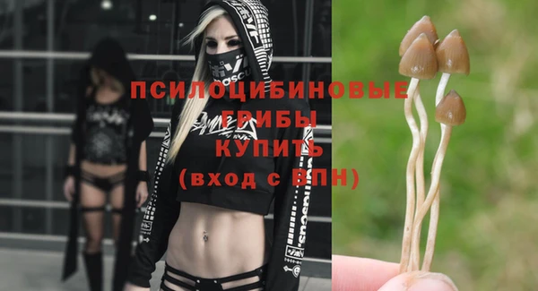 гашик Балабаново