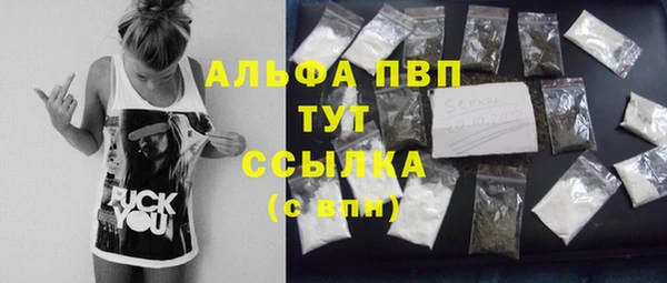 индика Аркадак