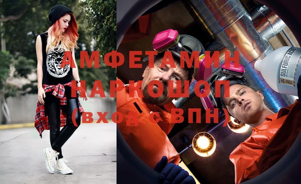 индика Аркадак