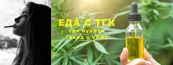 индика Аркадак
