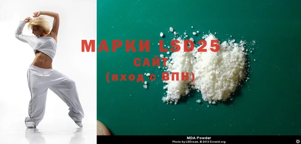 индика Аркадак