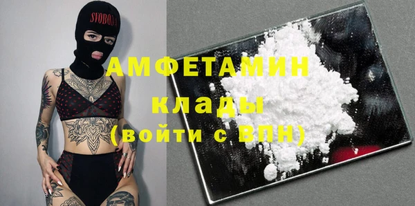 индика Аркадак