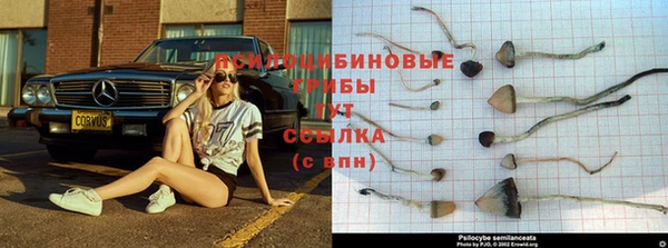 прущая мука Балахна