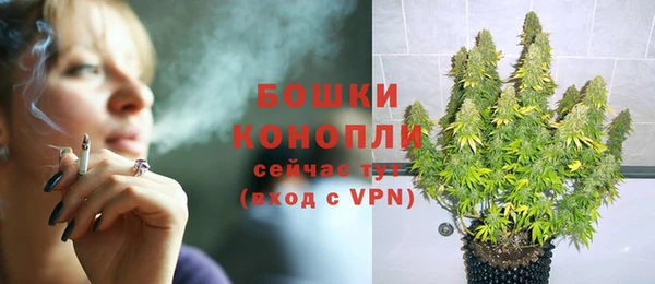 mdpv Арсеньев