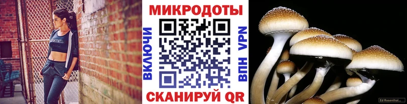 Псилоцибиновые грибы мухоморы  omg как зайти  darknet Telegram  Николаевск 